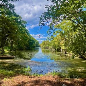 Photo #36 of West Side Lane, Powells Point, NC 225.7 acres