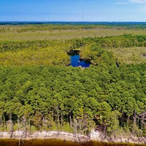 Photo #15 of West Side Lane, Powells Point, NC 225.7 acres