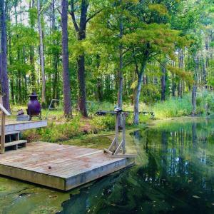 Photo #21 of West Side Lane, Powells Point, NC 225.7 acres