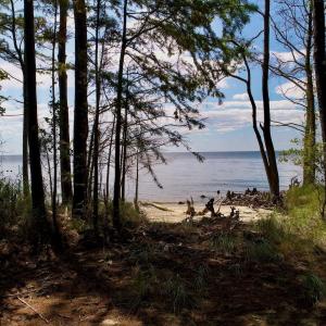 Photo #18 of West Side Lane, Powells Point, NC 225.7 acres