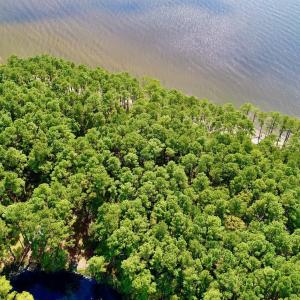 Photo #14 of West Side Lane, Powells Point, NC 225.7 acres