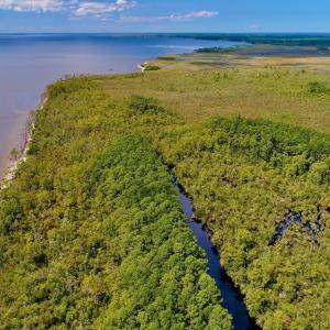 Photo #7 of West Side Lane, Powells Point, NC 225.7 acres