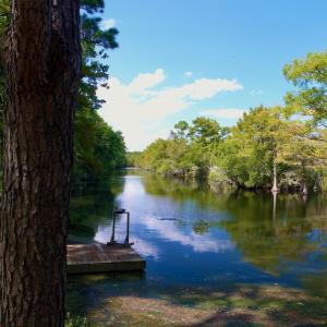 Photo #34 of West Side Lane, Powells Point, NC 225.7 acres