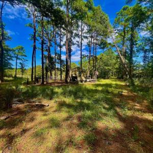 Photo #42 of West Side Lane, Powells Point, NC 225.7 acres