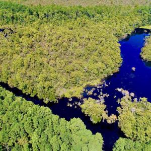 Photo #6 of West Side Lane, Powells Point, NC 225.7 acres