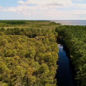 Photo #25 of West Side Lane, Powells Point, NC 225.7 acres