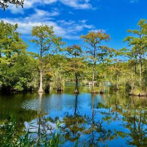 Photo #40 of West Side Lane, Powells Point, NC 225.7 acres