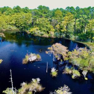 Photo #24 of West Side Lane, Powells Point, NC 225.7 acres