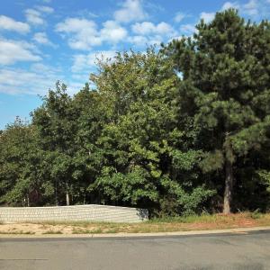 Photo #11 of 553 Trumpeter Swan Court, Corolla, NC