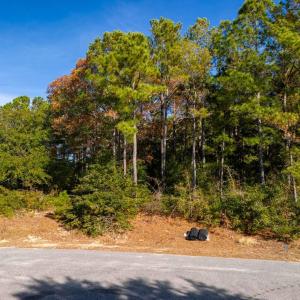 Photo #22 of 220 Sunnyside Drive, Manteo, NC
