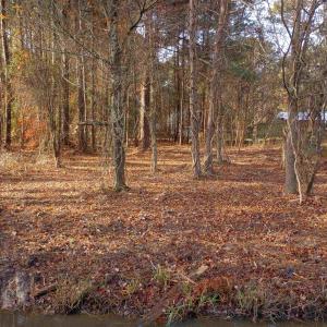 Photo #1 of 80 Scuppernong Road, Columbia, NC