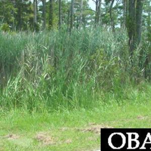 Photo #2 of 142 Bayview Drive, Stumpy Point, NC 5.1 acres