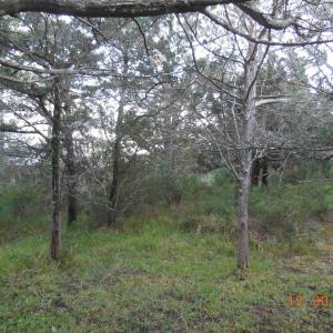 Photo #3 of TBD Sarah Ellen Drive, Ocracoke, NC 0.3 acres