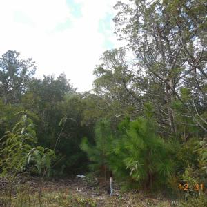 Photo #9 of TBD Sarah Ellen Drive, Ocracoke, NC 0.3 acres