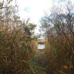 Entry for kayak Access