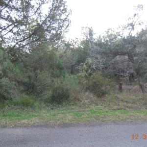 Lot 14