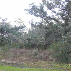 View from side of lot