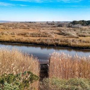 Kayak access at end of Sarah Ellen Dr.