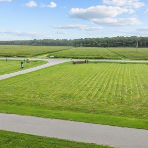 Photo #7 of 109 Investors Way, Camden, NC