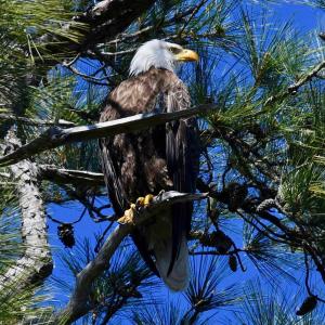 Photo #7 of Kitty Hawk Road, Kitty Hawk, NC