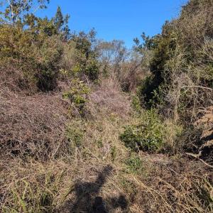 Photo #2 of TBD Central Drive, Ocracoke, NC 0.3 acres