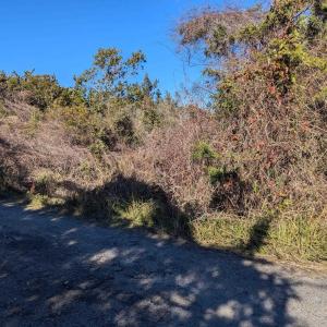 Photo #1 of TBD Central Drive, Ocracoke, NC 0.3 acres