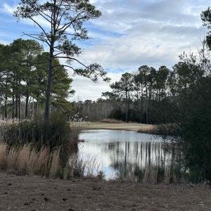 BACK CORNER POND VIEW