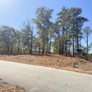 High sloping elevation