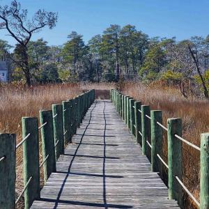 Photo #13 of 270 Sunrise Crossing Dr, Kill Devil Hills, NC 1.7 acres