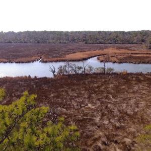 Photo #8 of 270 Sunrise Crossing Dr, Kill Devil Hills, NC 1.7 acres