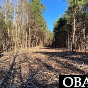 Photo #14 of Fisher Landing Road, Jarvisburg, NC 57.0 acres