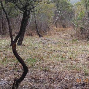 Photo #6 of TBD Central Drive, Ocracoke, NC 0.2 acres