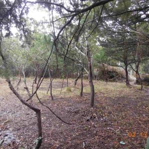 Photo #2 of TBD Central Drive, Ocracoke, NC 0.2 acres