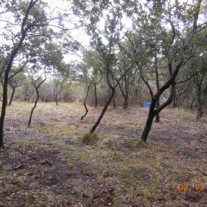 Photo #3 of TBD Central Drive, Ocracoke, NC 0.2 acres