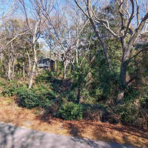 Photo #3 of 292 Dogwood Trail, Southern Shores, NC 0.6 acres