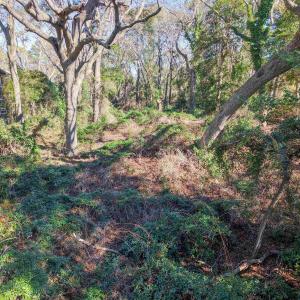 Photo #4 of 292 Dogwood Trail, Southern Shores, NC 0.6 acres