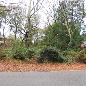 Photo #5 of 292 Dogwood Trail, Southern Shores, NC 0.6 acres