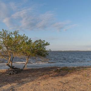 Photo #11 of Lot 14 Carolina Cays, Manteo, NC 10.0 acres