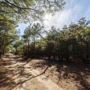 Photo #5 of 2336 Sandpiper Road, Corolla, NC