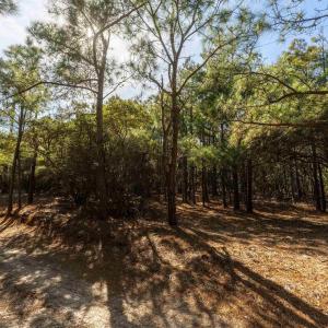 Photo #4 of 2336 Sandpiper Road, Corolla, NC