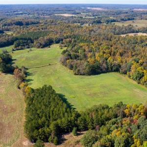 Photo #7 of 3001 Headen Country, Staley, NC 69.5 acres