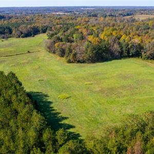 Photo #9 of 3001 Headen Country, Staley, NC 69.5 acres