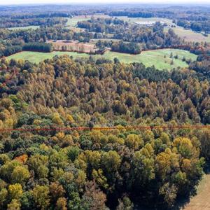 Photo #6 of 3001 Headen Country, Staley, NC 69.5 acres