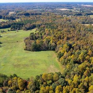 Photo #5 of 3001 Headen Country, Staley, NC 69.5 acres