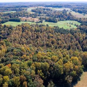 Photo #3 of 3001 Headen Country, Staley, NC 69.5 acres