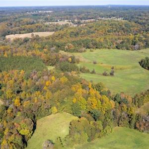 Photo #4 of 3001 Headen Country, Staley, NC 69.5 acres
