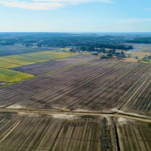 Photo #23 of Highway 264, Engelhard, NC