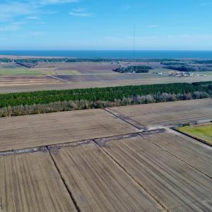 Photo #13 of Highway 264, Engelhard, NC