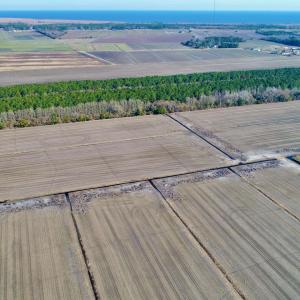 Photo #14 of Highway 264, Engelhard, NC