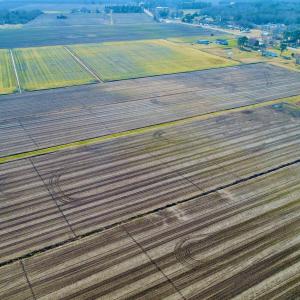 Photo #27 of Highway 264, Engelhard, NC